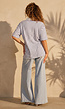 Wit Blauwe Gestreepte Polo Top met Kraag en Korte Mouwen