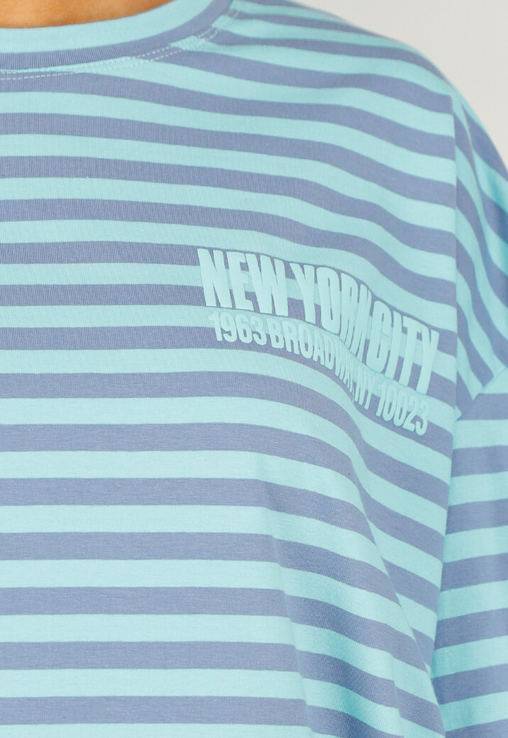 Blauw Gestreept Oversized T-Shirt met Korte Mouwen