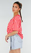 Roze Rode Gestreepte Oversized T-shirt met V-hals