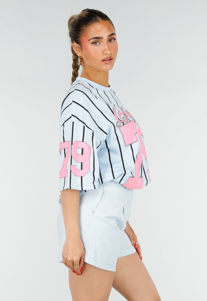 Oversized Lichtblauw Jersey Shirt met Roze Print en Strepen
