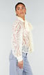 Lichtgele Transparante Kanten Blouse met Strikkraag en Lange Mouwen