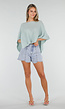 Lichtblauwe Denim Shorts met Zilverkleurige Studs