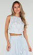Lichtblauwe Bloemen Crop Top met Mouwloos Model
