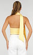 Gele Halter Crop Top met Open Rug en Diepe V-Hals