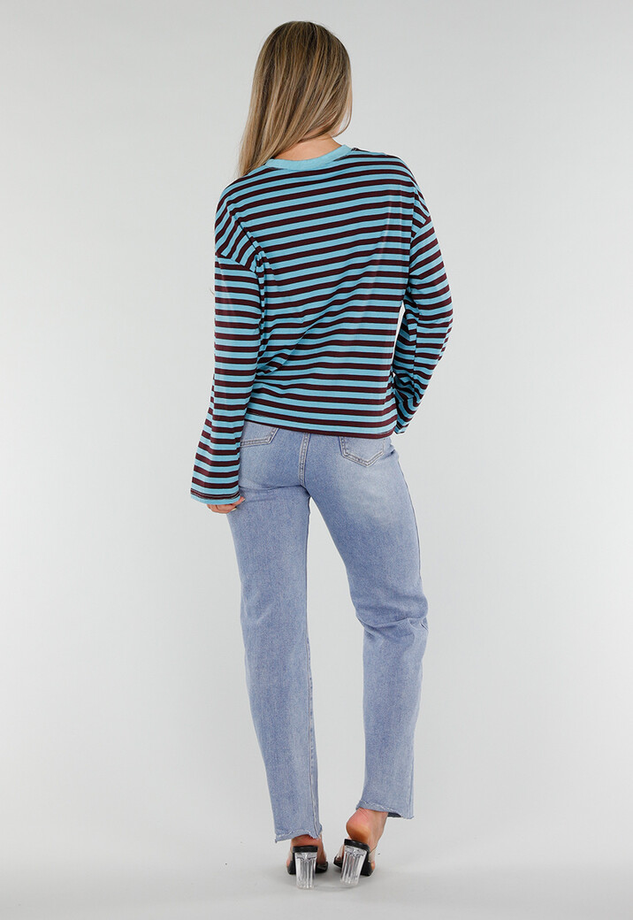 Blauw Bruin Gestreepte Top met Lange Mouwen en Ronde Hals