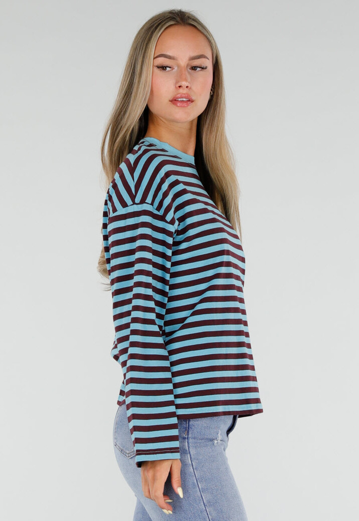 Blauw Bruin Gestreepte Top met Lange Mouwen en Ronde Hals