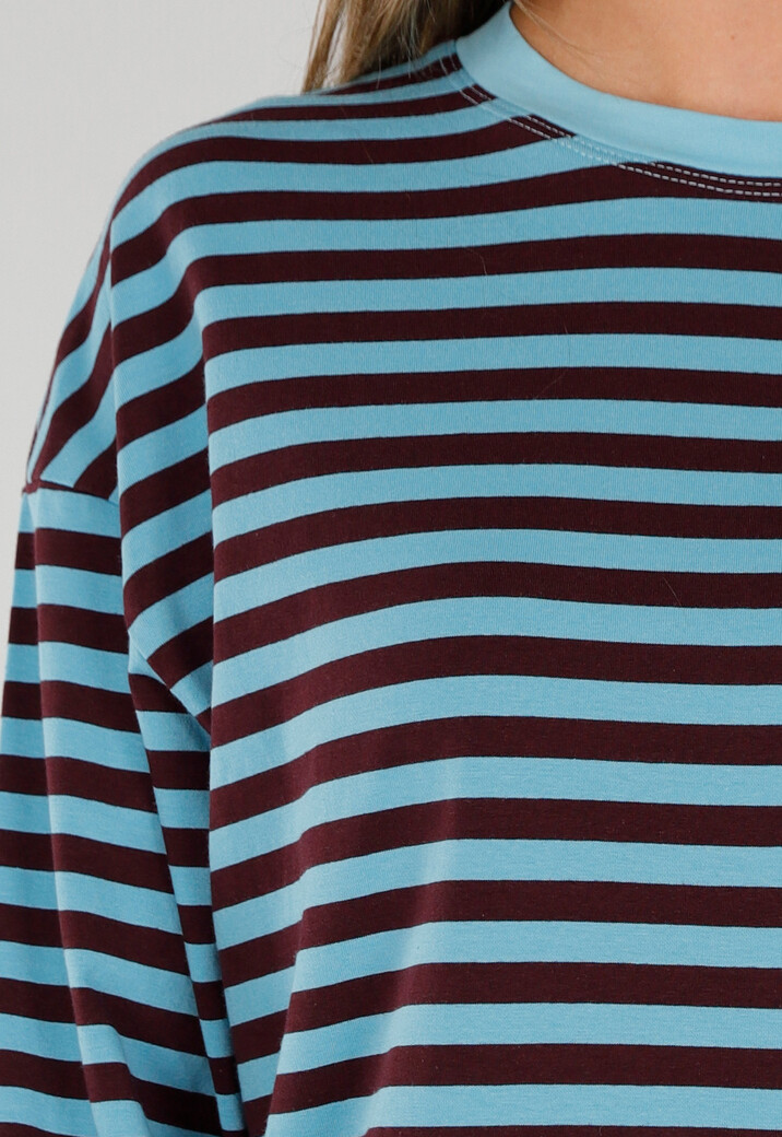 Blauw Bruin Gestreepte Top met Lange Mouwen en Ronde Hals