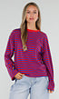 Rood Blauwe Gestreepte Top met Lange Mouwen en Ronde Hals