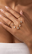 Goudkleurige Stainless Steel Ringenset met Steentjes en Ketting