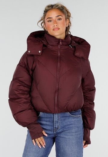 NEW230926 Bordeaux Korte Puffer Winterjas met Capuchon