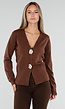 Bruin Gebreid Vest met Lange Mouwen en Gouden Knopen