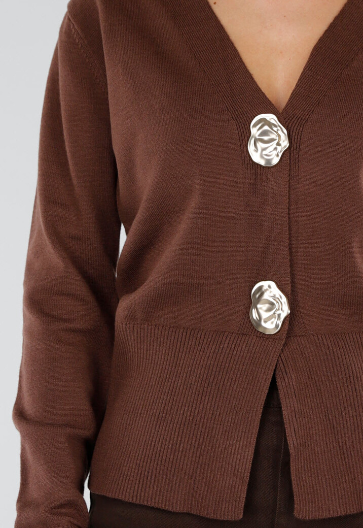 Bruin Gebreid Vest met Lange Mouwen en Gouden Knopen
