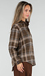 Bruine Geruite Blouse met Lange Mouwen en Geborduurde Details