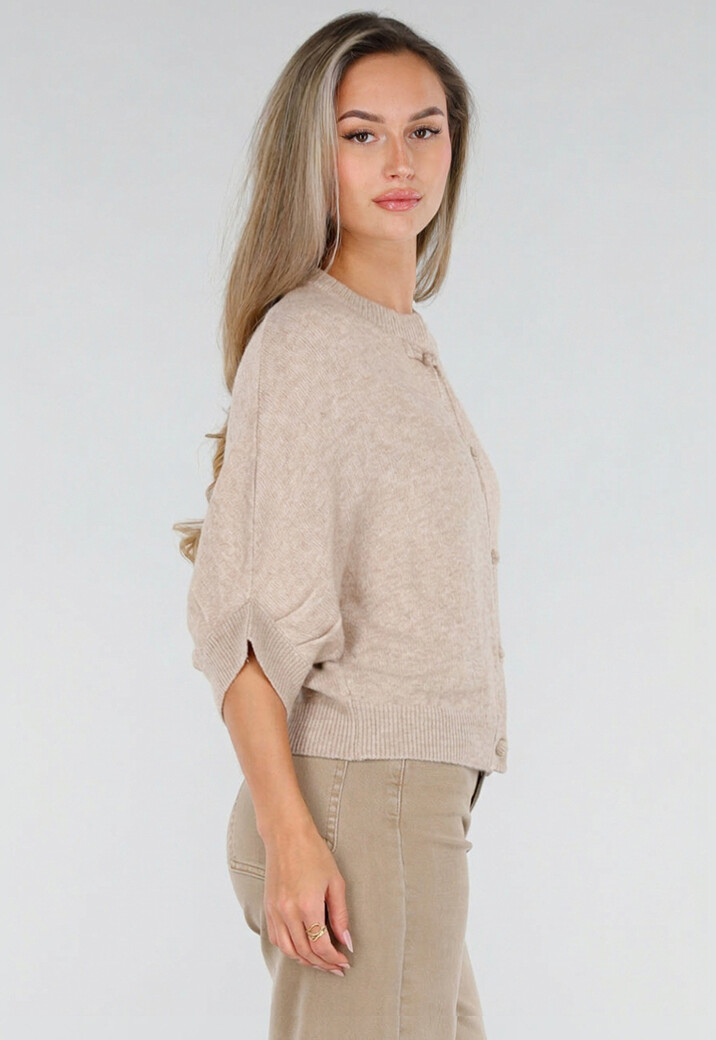Beige Gebreid Damesvest met Korte Mouwen en Striksluitingen