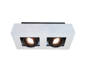 Spot Bosco Wit Zwart 2 Lichts GU10