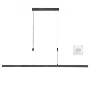 Paul Neuhaus Hanglamp Bacalia Antraciet L120-180cm