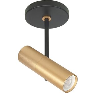 Spot Trend Zwart Goud Mini GU-10 Ø 35mm 1 Lichts