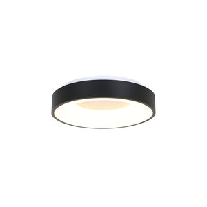 Steinhauer Plafondlamp Ringlede Zwart Ø 30cm Led 30Watt