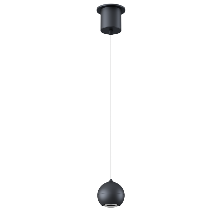 Artdelight Hanglamp Miami Zwart Ø 10cm Incl. Comfortlift