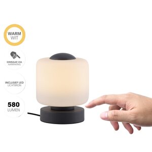 Tafellamp Bota Antraciet 5Watt incl. Touch Dimmer