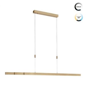 Paul Neuhaus Adriana Hanglamp Mat Goud L120-180cm