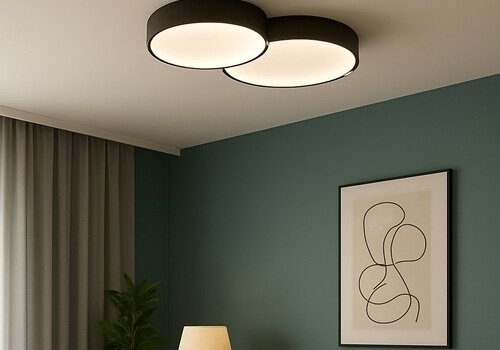 Plafondlampen Freelight