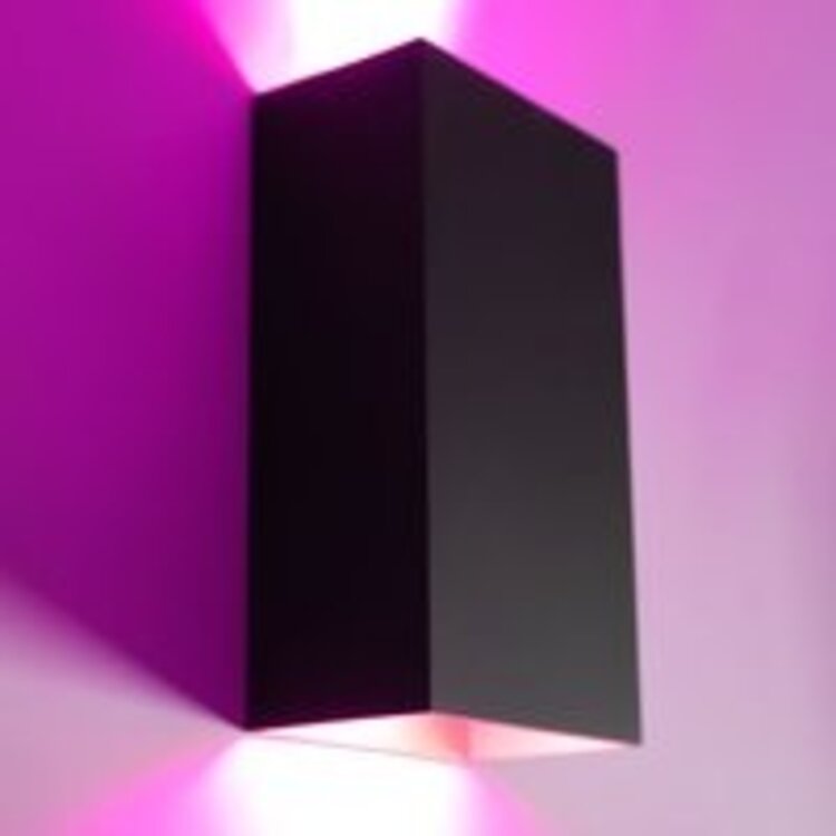 Highlight Wandlamp Eros Zwart - Goud Up & Down 18cm 2 x GU-10