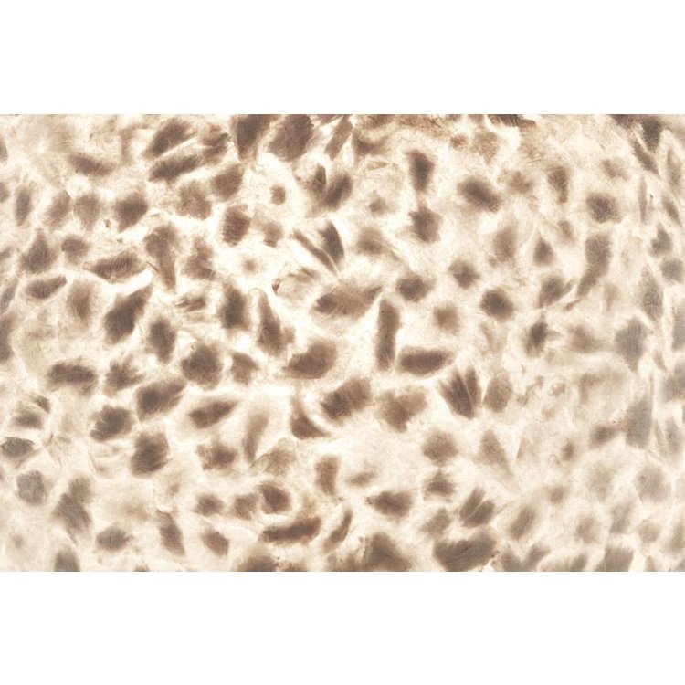 Villaflor Hanglamp Wangi White Ball Ø 40cm 1x E27 Fitting - Capiz Schelpenlamp
