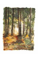 Natural Earth Paint Experience children's paint kit — 6 natural earth colours