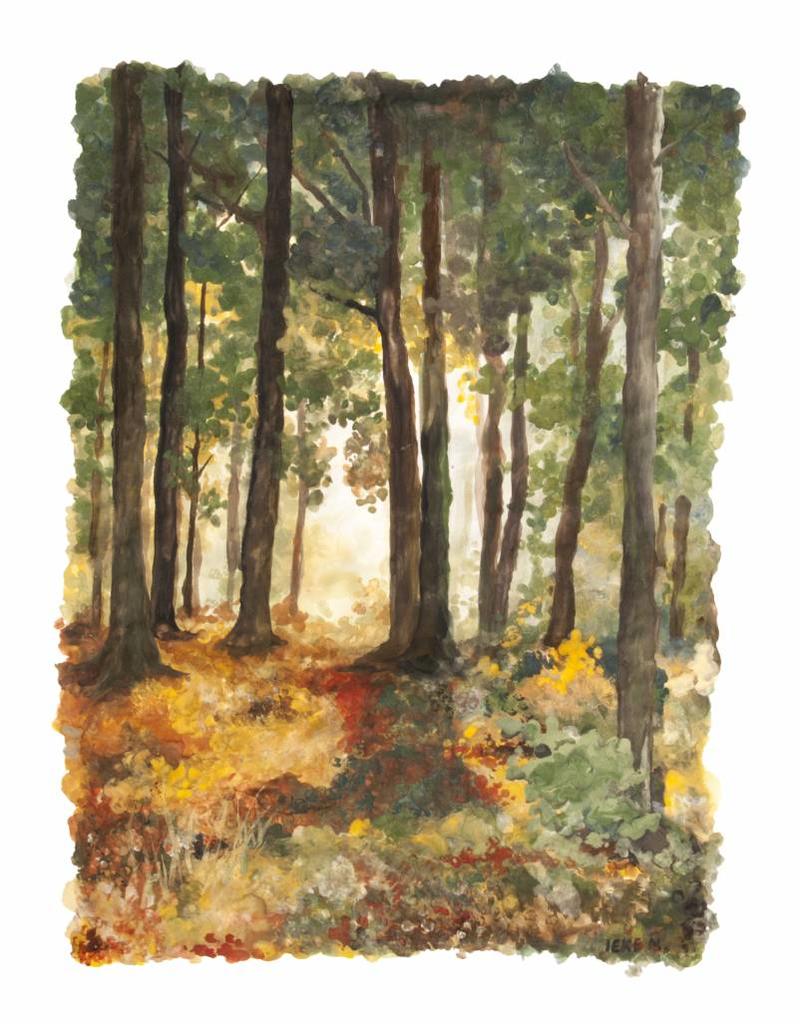 Natural Earth Paint Experience children's paint kit — 6 natural earth colours