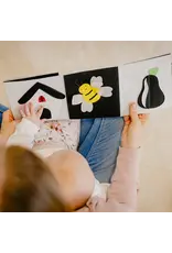 Jolly Design Only NL and BE