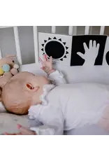 Jolly Design Only NL and BE