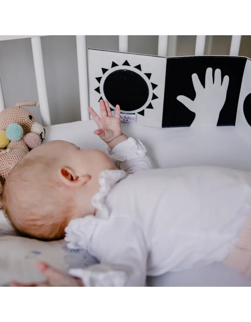 Jolly Design Only NL and BE