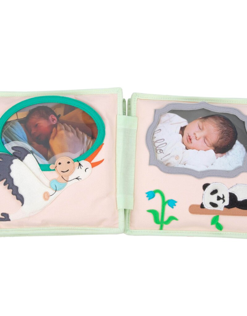 Jolly Designs My First Milestone Photo Album — 6 photos