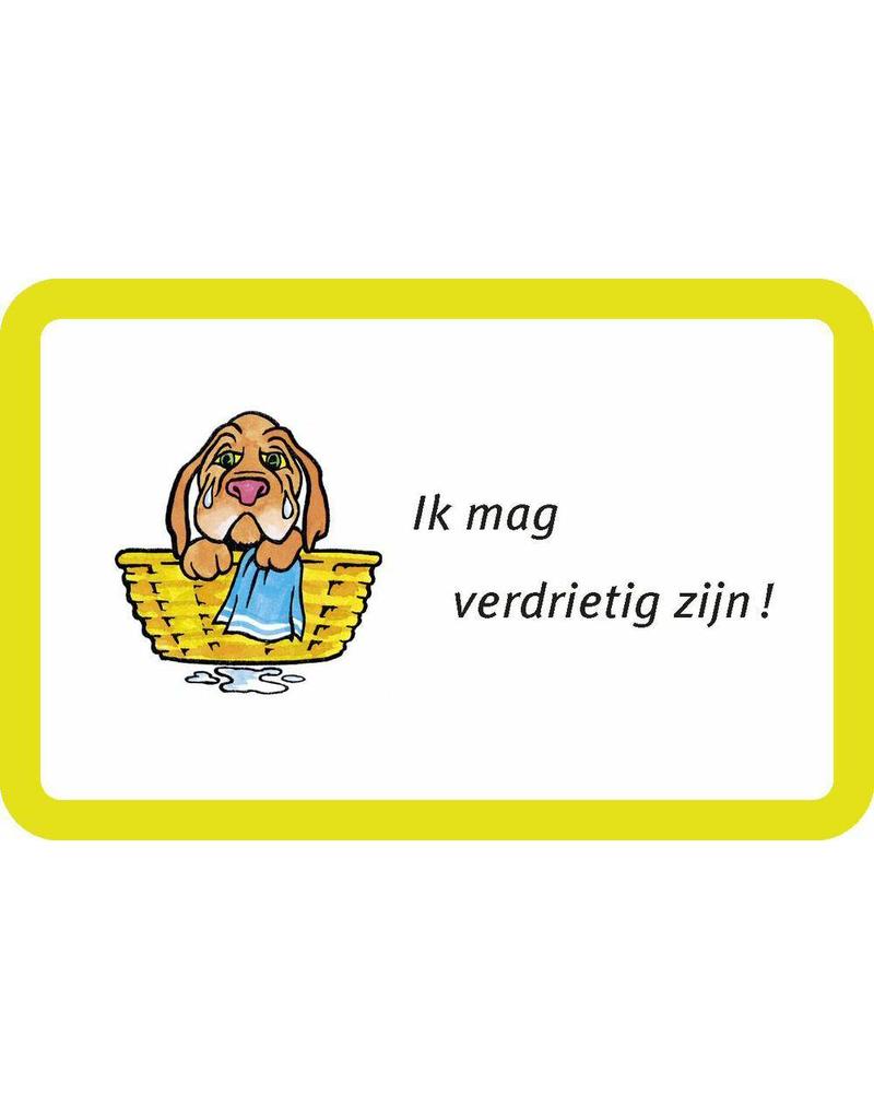 Uitgeverij Briljant EigenWijsjes coachingkaarten