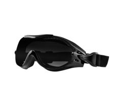 Bobster Phoenix Motorradbrille - rauch