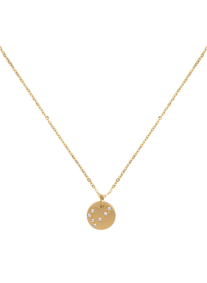 Jozemiek Vissen ketting  ,stainless-steel plated with 18k gold met giftcard.