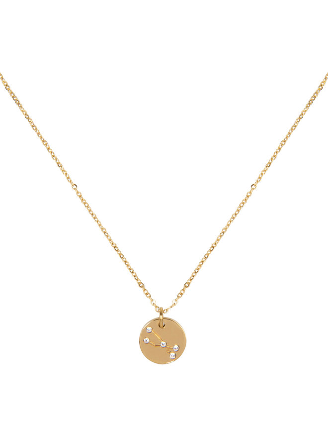 Jozemiek Stier necklace, stainless steel plated with 18k gold with gift card