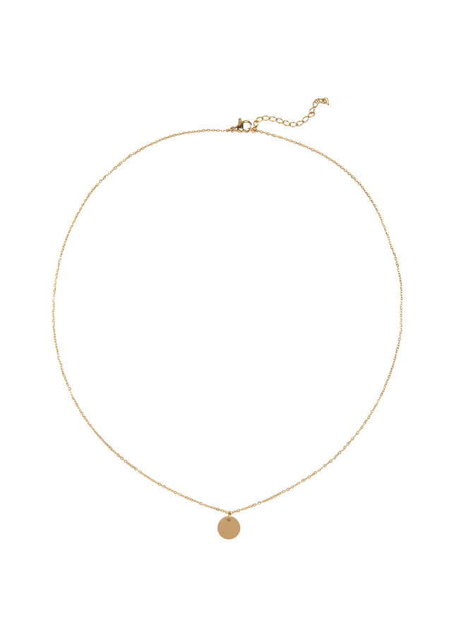Jozemiek Stier necklace, stainless steel plated with 18k gold with gift card
