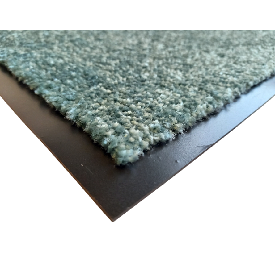 Tapis antipoussière pour l'intérieur bleuvert