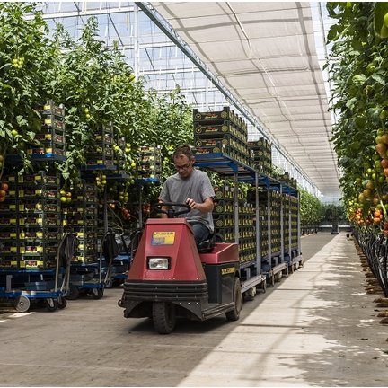 Horticulture Castor Wheels - Für alle Arten von landwirtschaftlichen Anwendungen