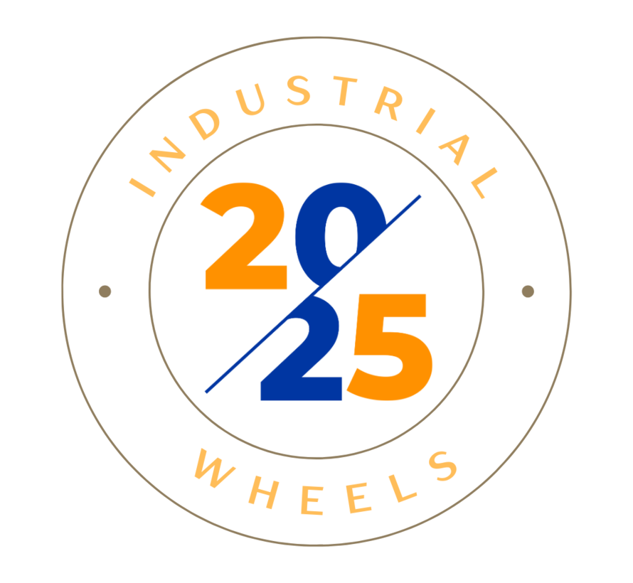 Robuste Edelstahl-Lenkgabel RND.100 mit Bremse und 100 kg Tragkraft – robust, zuverlässig und langlebig für industrielle Anwendungen