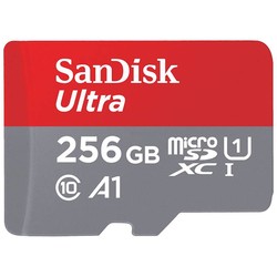 Ultra microSD UHS-I Card 256 GB