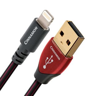 Cinnamon USB Lightning