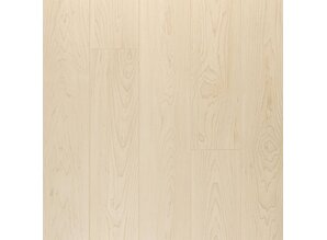 Lichte esdoorn natuur