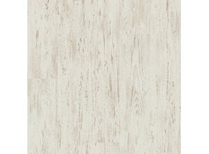 Witte geborstelde den