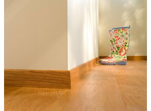 Wilde Esdoorn Natuurvernist LHD