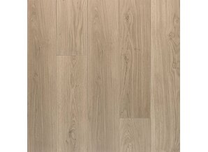 Verweerde Lichte Eik