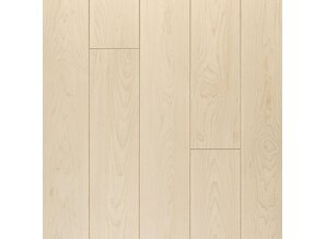 Lichte esdoorn natuur