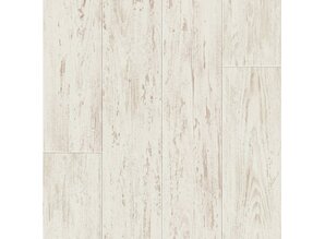 Witte geborstelde den